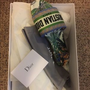 Dior slides